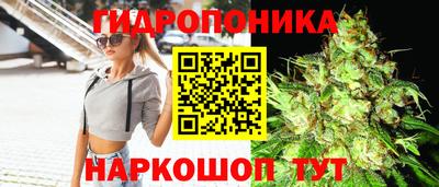 герыч Брянск