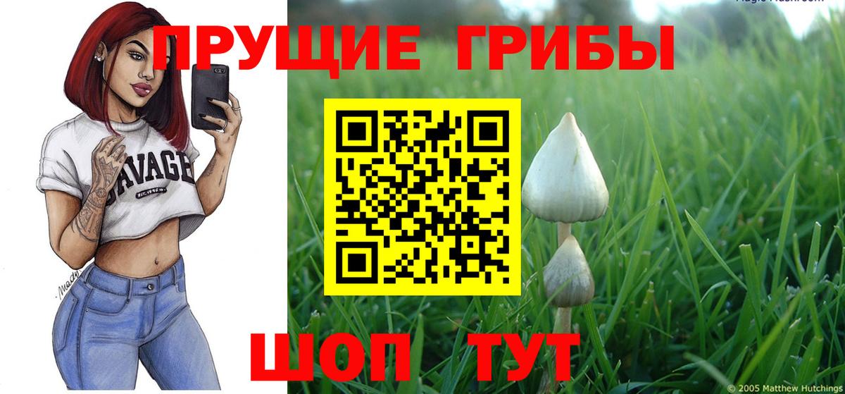 Галлюциногенные грибы ЛСД  Вход с VPN  Дзержинский  Псилоцибиновые грибы мицелий 